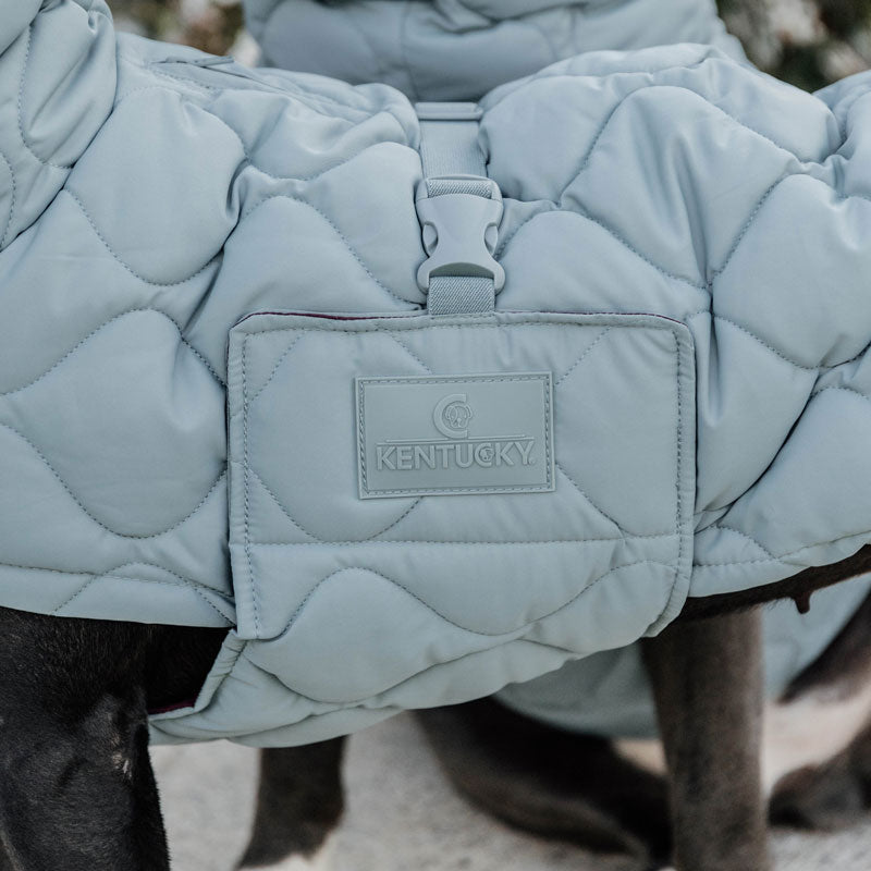 Kentucky  Dog Coat Pina