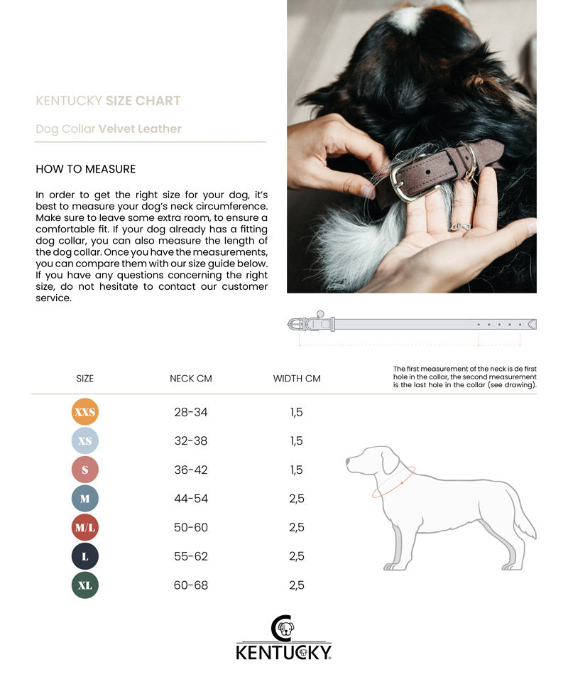 Kentucky Dogwear Velvet Leather Dog Collar