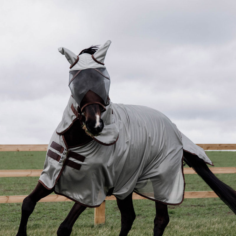 Kentucky  Mesh Fly Rug Classic