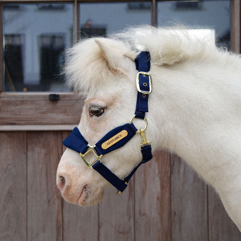 Kentucky Velvet Head Collar Pony & Shetland