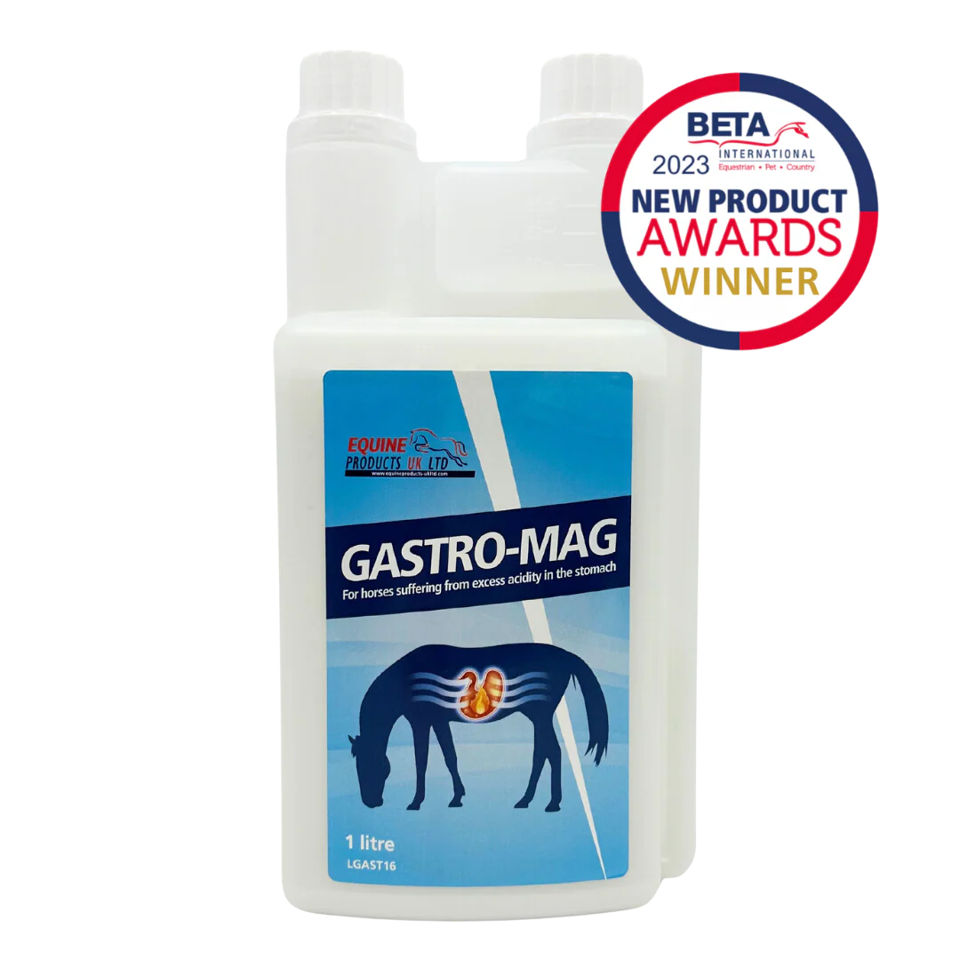 Gastro Mag