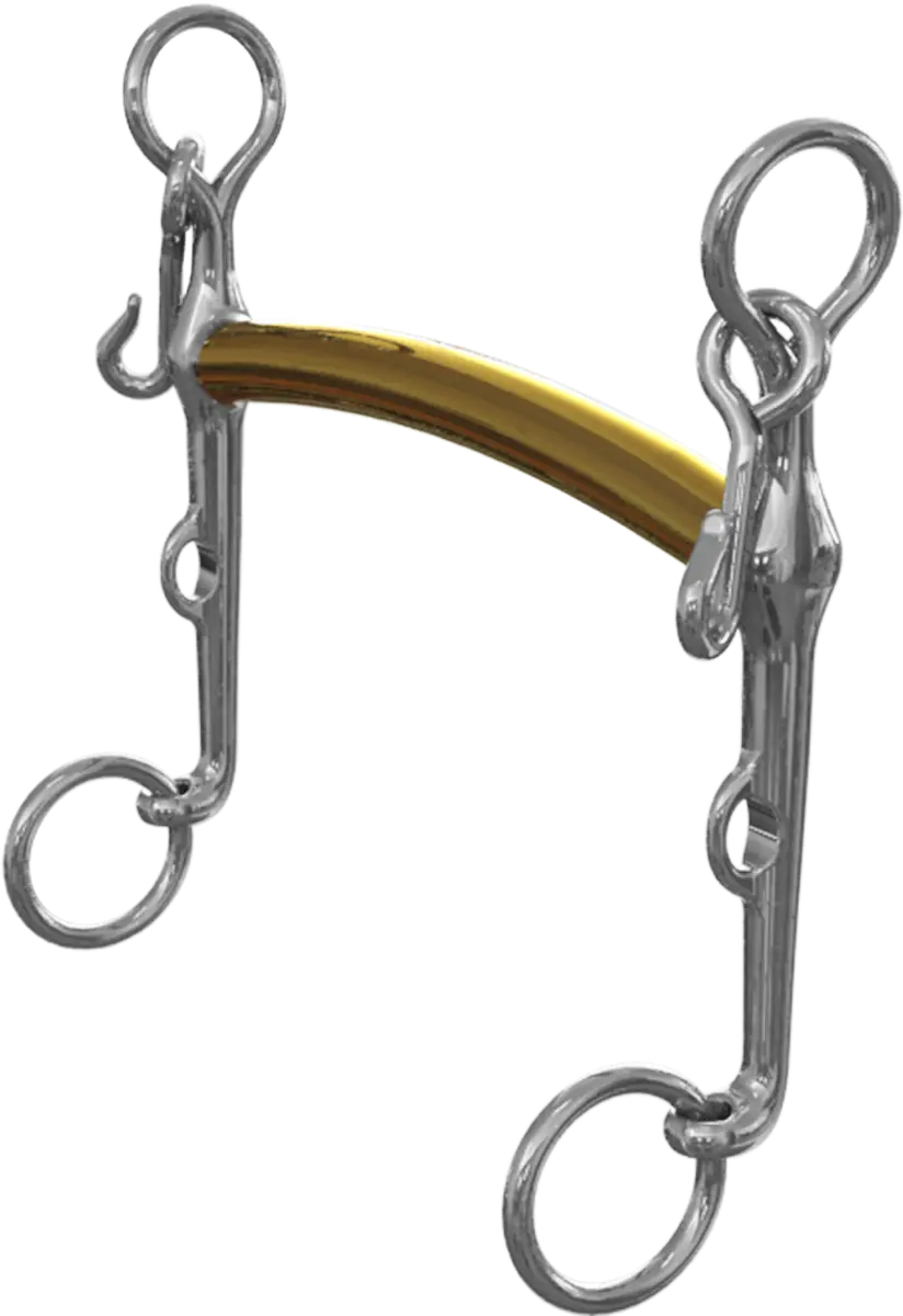 Neue Schule Thoroughbred Weymouth