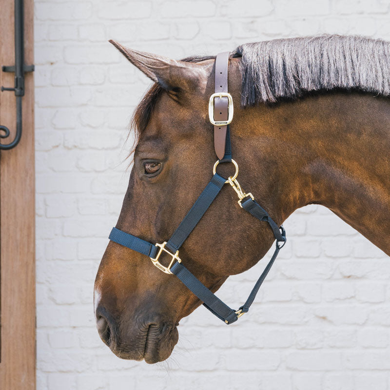 Kentucky Nylon Breakaway Halter