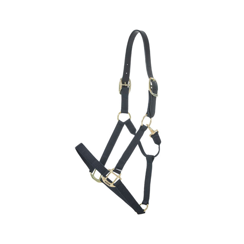 Kentucky Nylon Breakaway Halter
