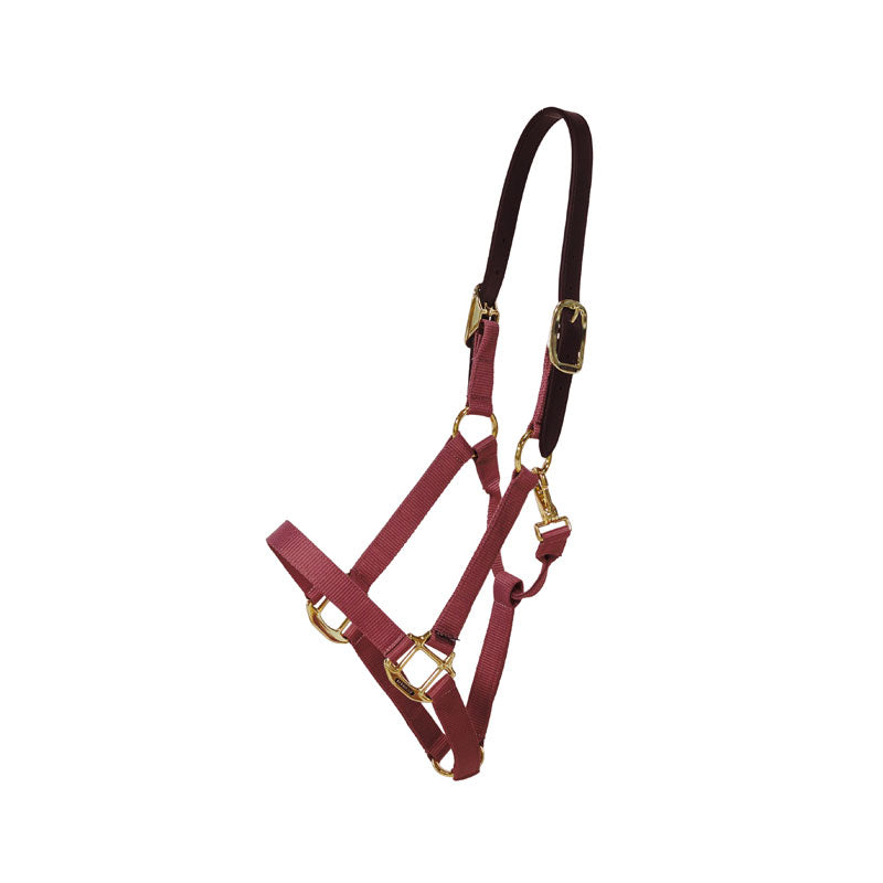 Kentucky Nylon Breakaway Halter