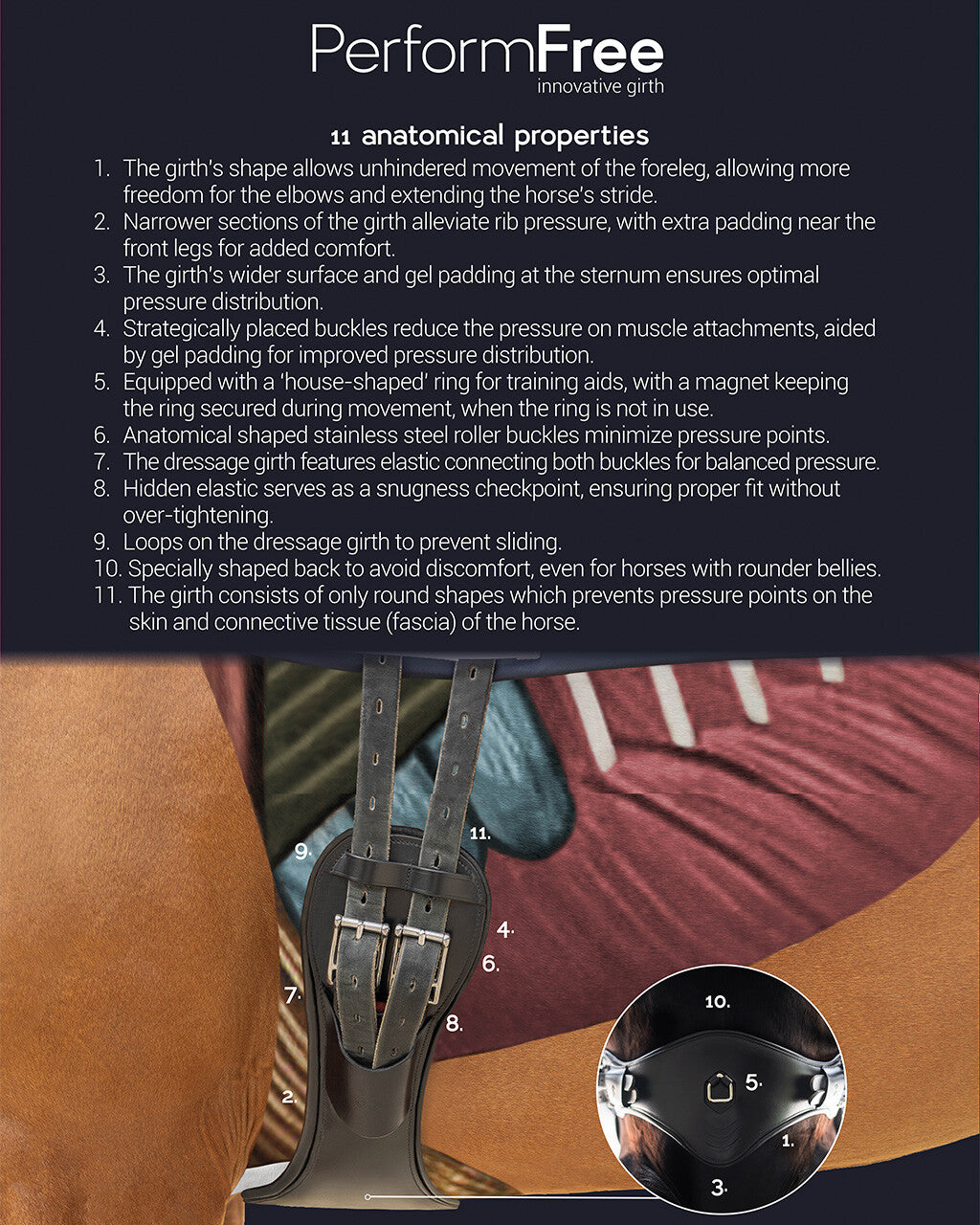 PresTeq PerformFree Dressage Girth