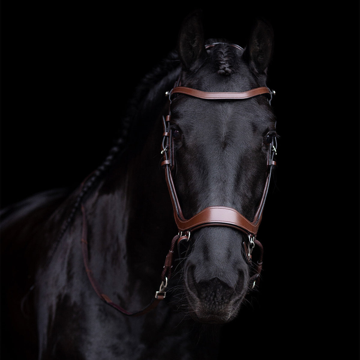 PresTeq FaySport Bitless  Bridle
