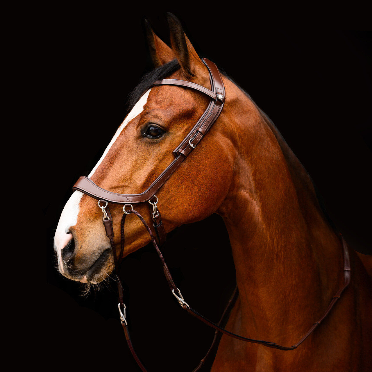 PresTeq FaySport Bitless  Bridle