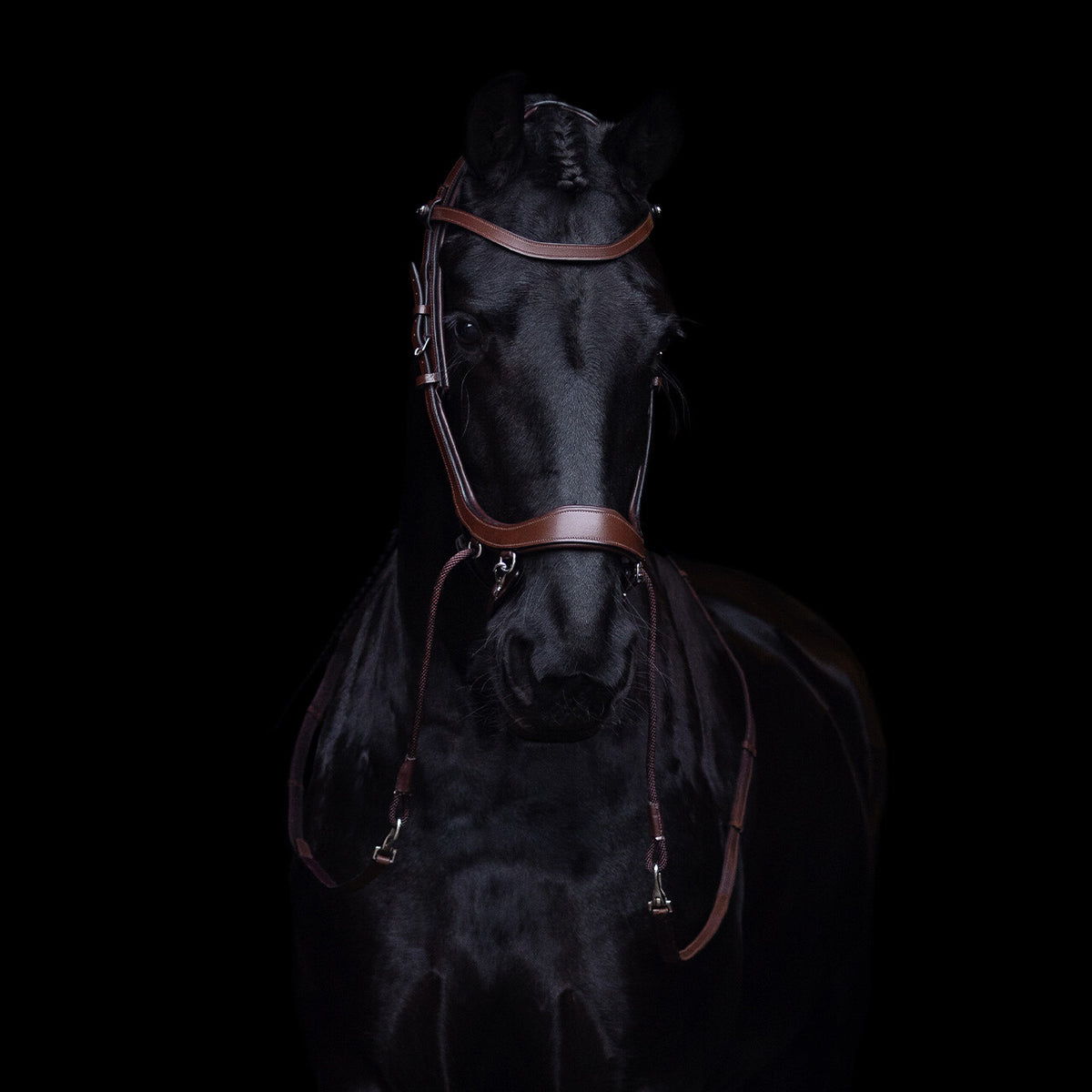 PresTeq FaySport Bitless  Bridle