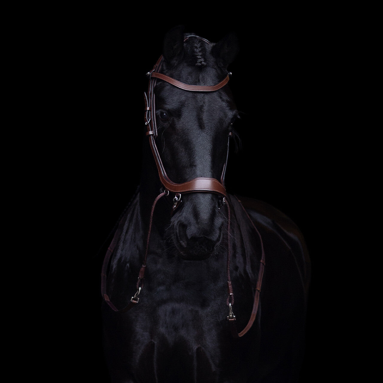 PresTeq FaySport Bitless  Bridle