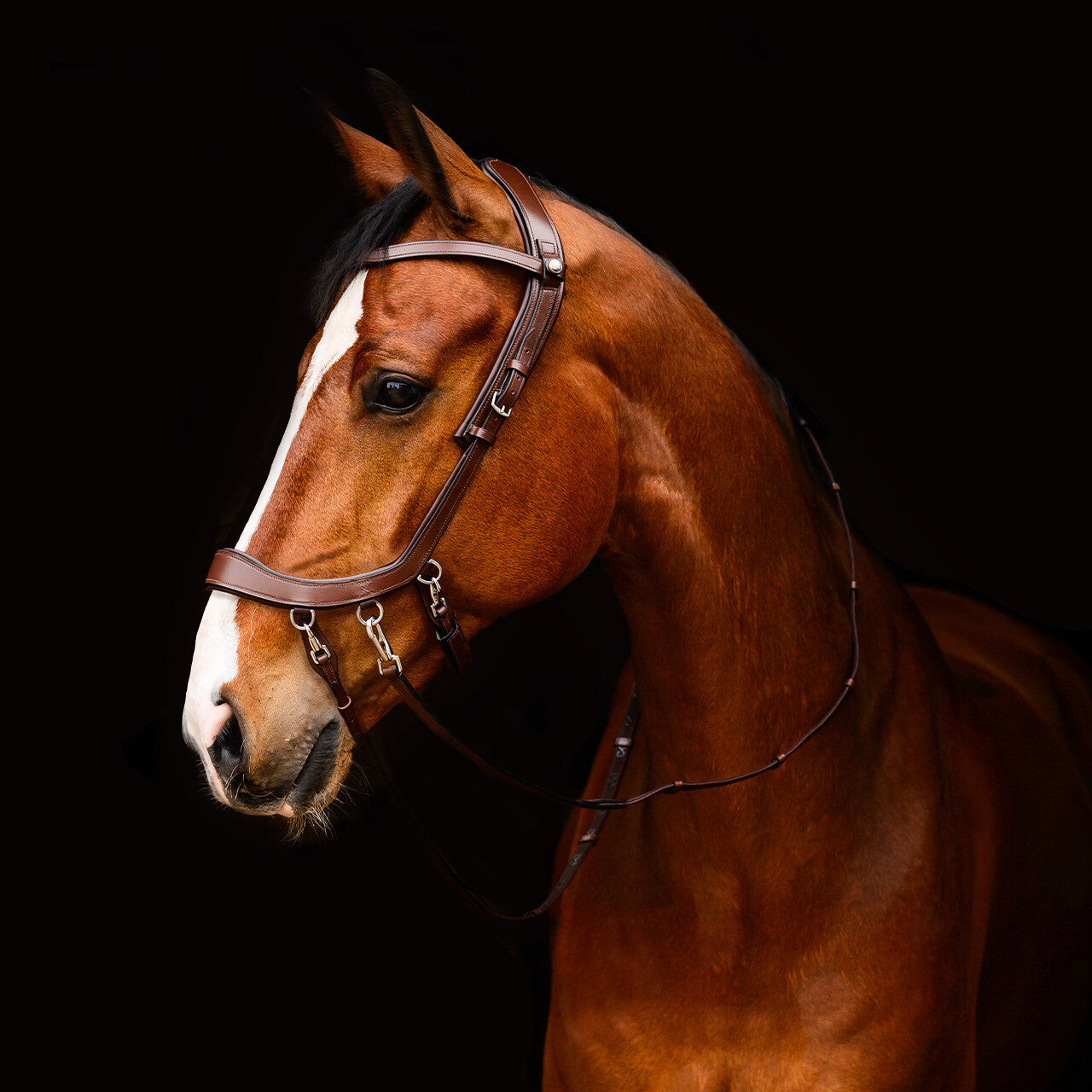 PresTeq FaySport Bitless  Bridle