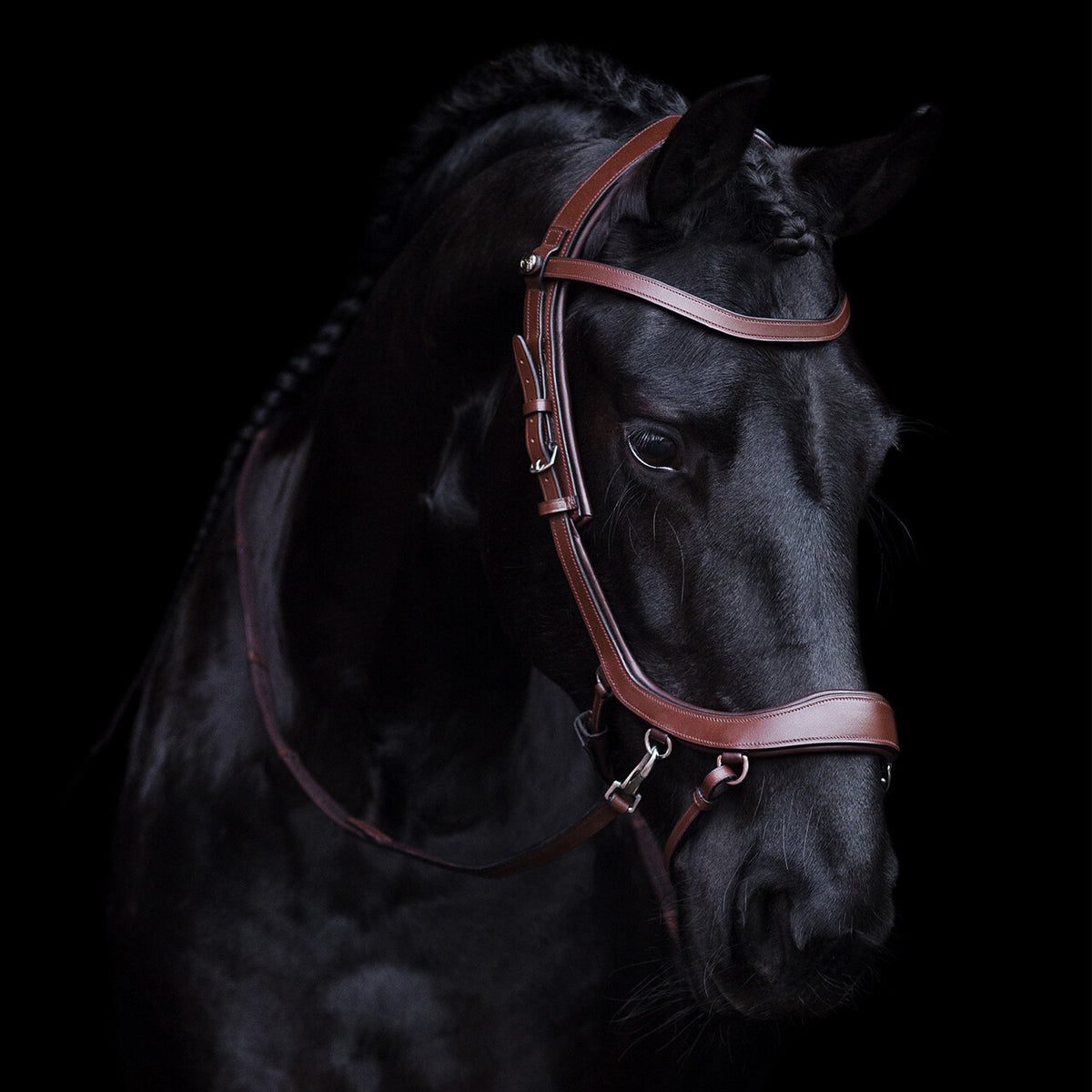PresTeq FaySport Bitless  Bridle