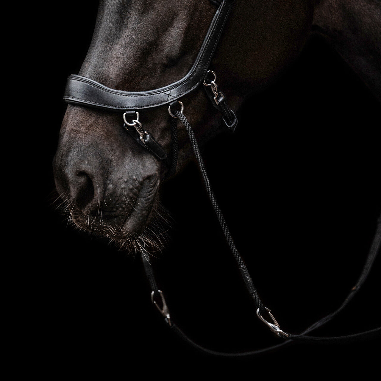 PresTeq FaySport Bitless  Bridle