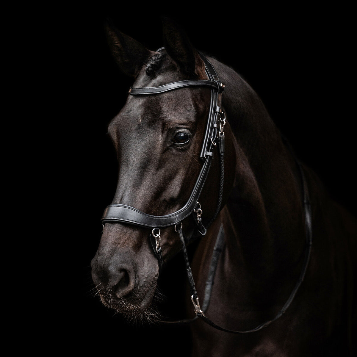 PresTeq FaySport Bitless  Bridle