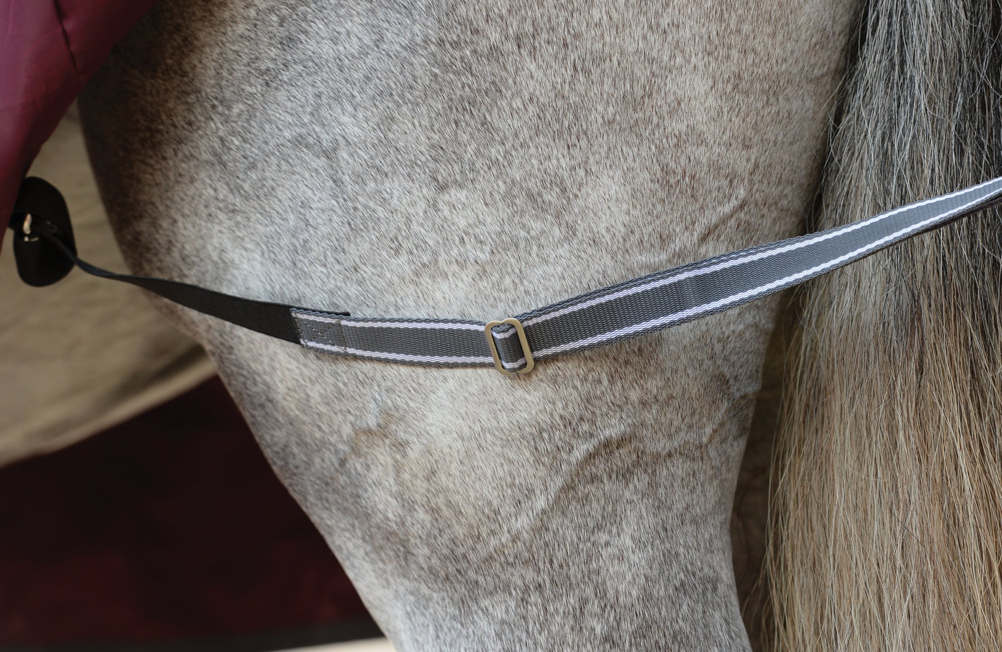 Weatherbeeta Comfitec Plus Dynamic II Standard Neck Lite Turnout Rug -Maroon