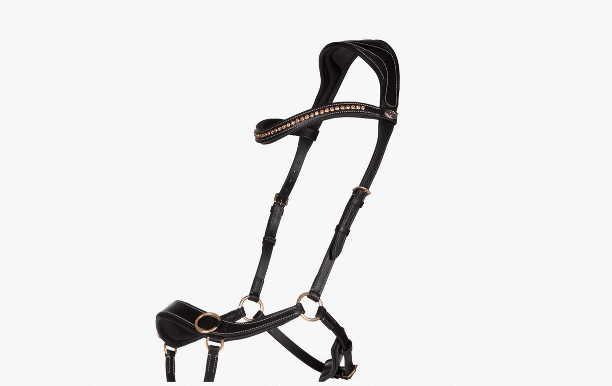 Anatomical Bitless Bridle