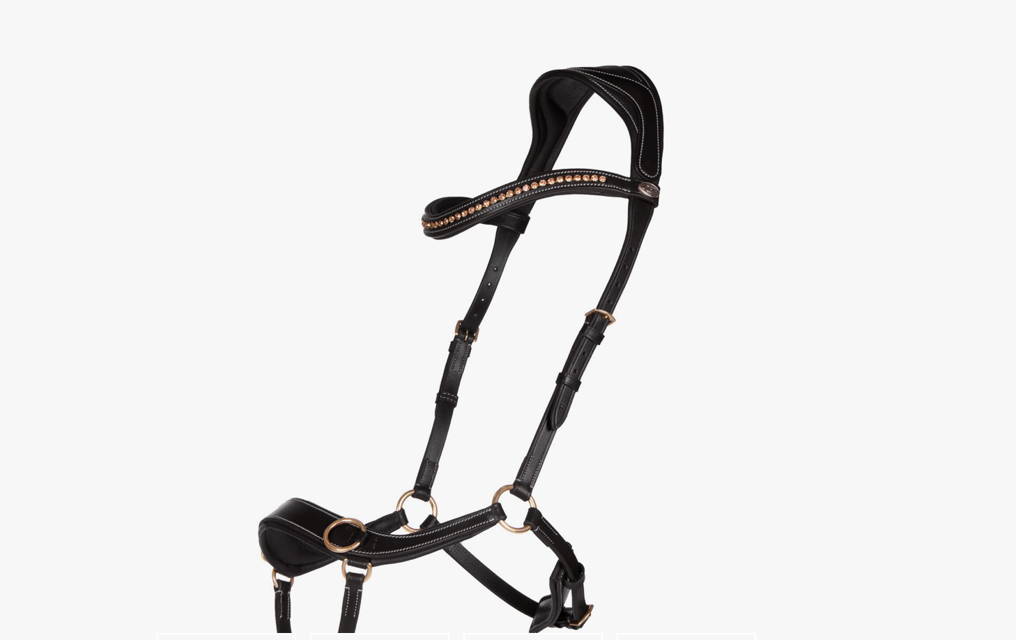 Anatomical Bitless Bridle
