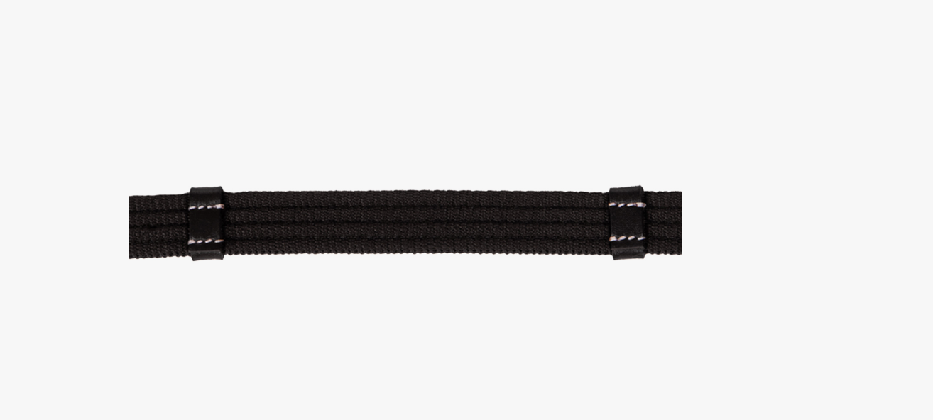 Anatomical Bitless Bridle