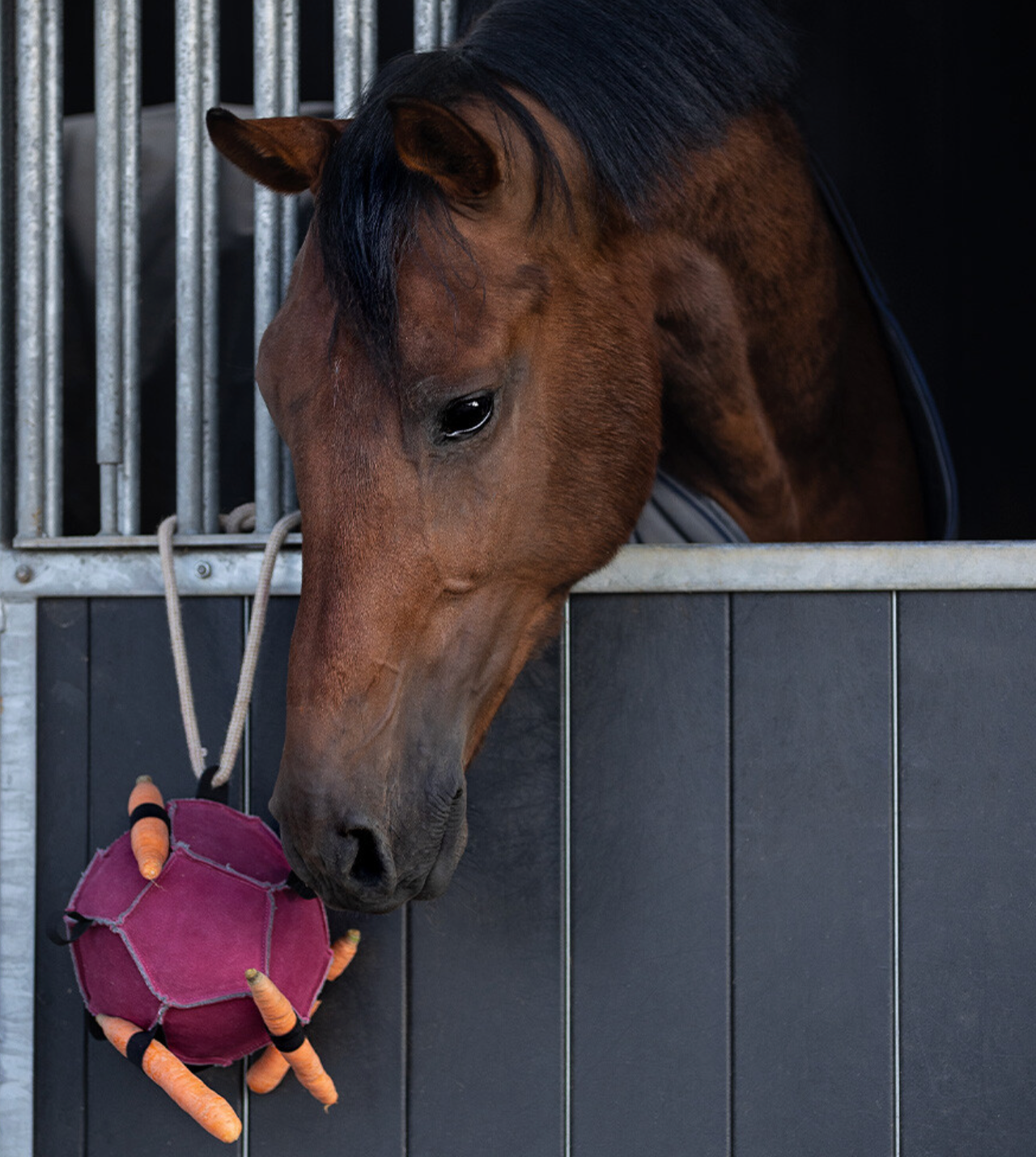 Horse Toy Ball