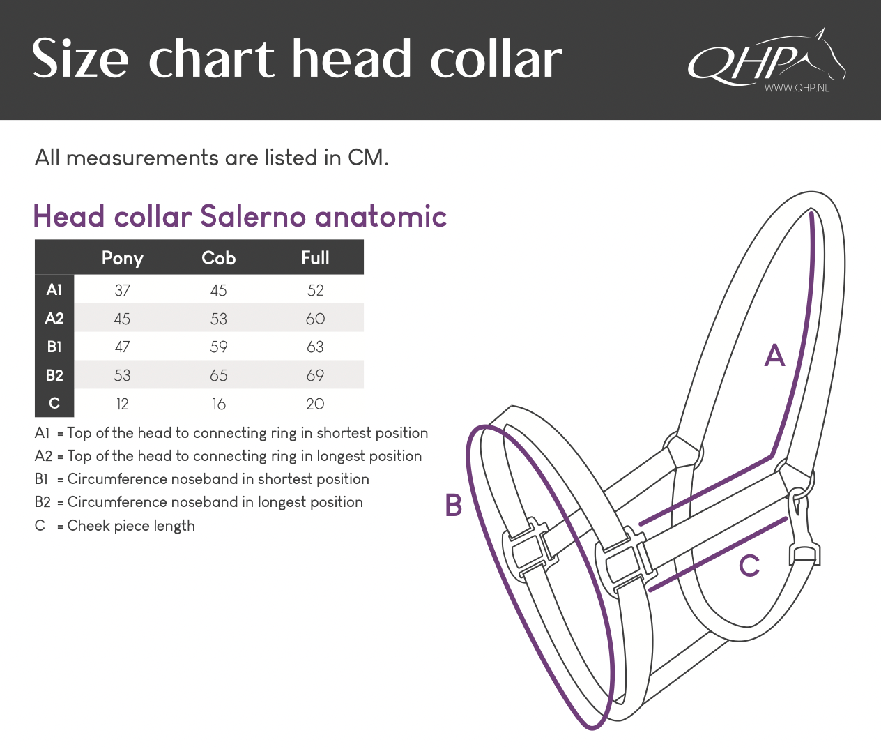 Salerno Anatomic Headcollar