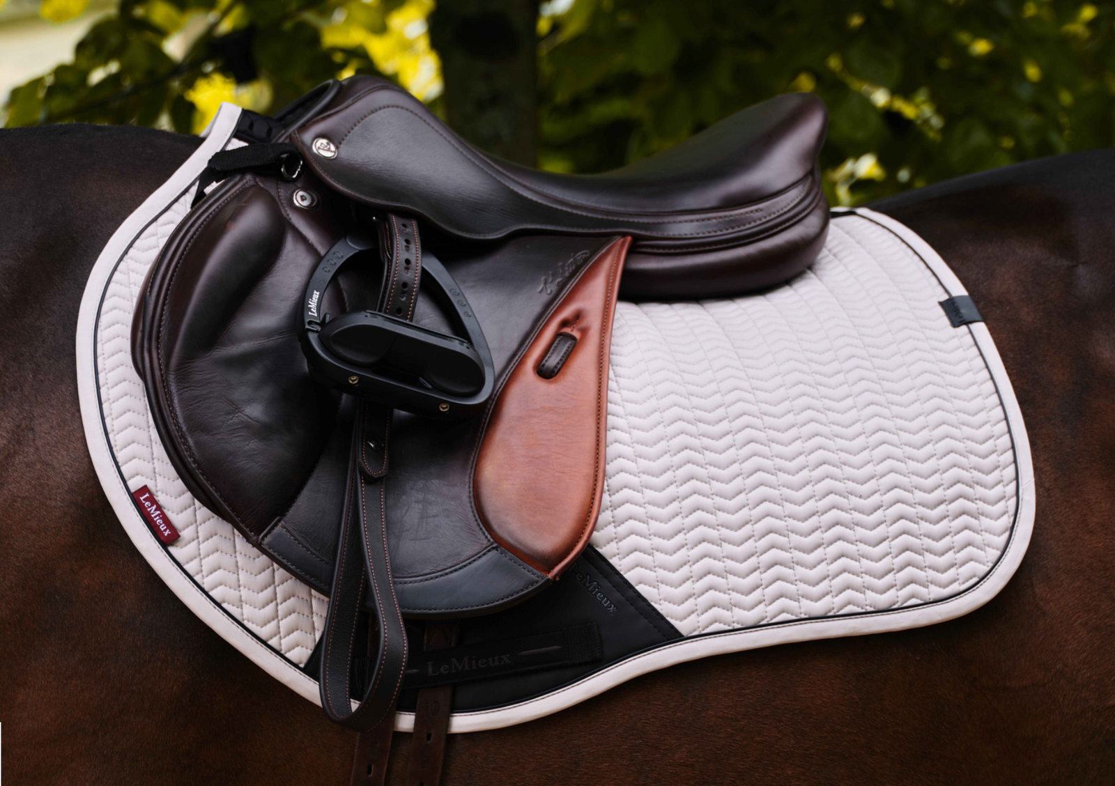 Lemieux Essence Eurojump Square