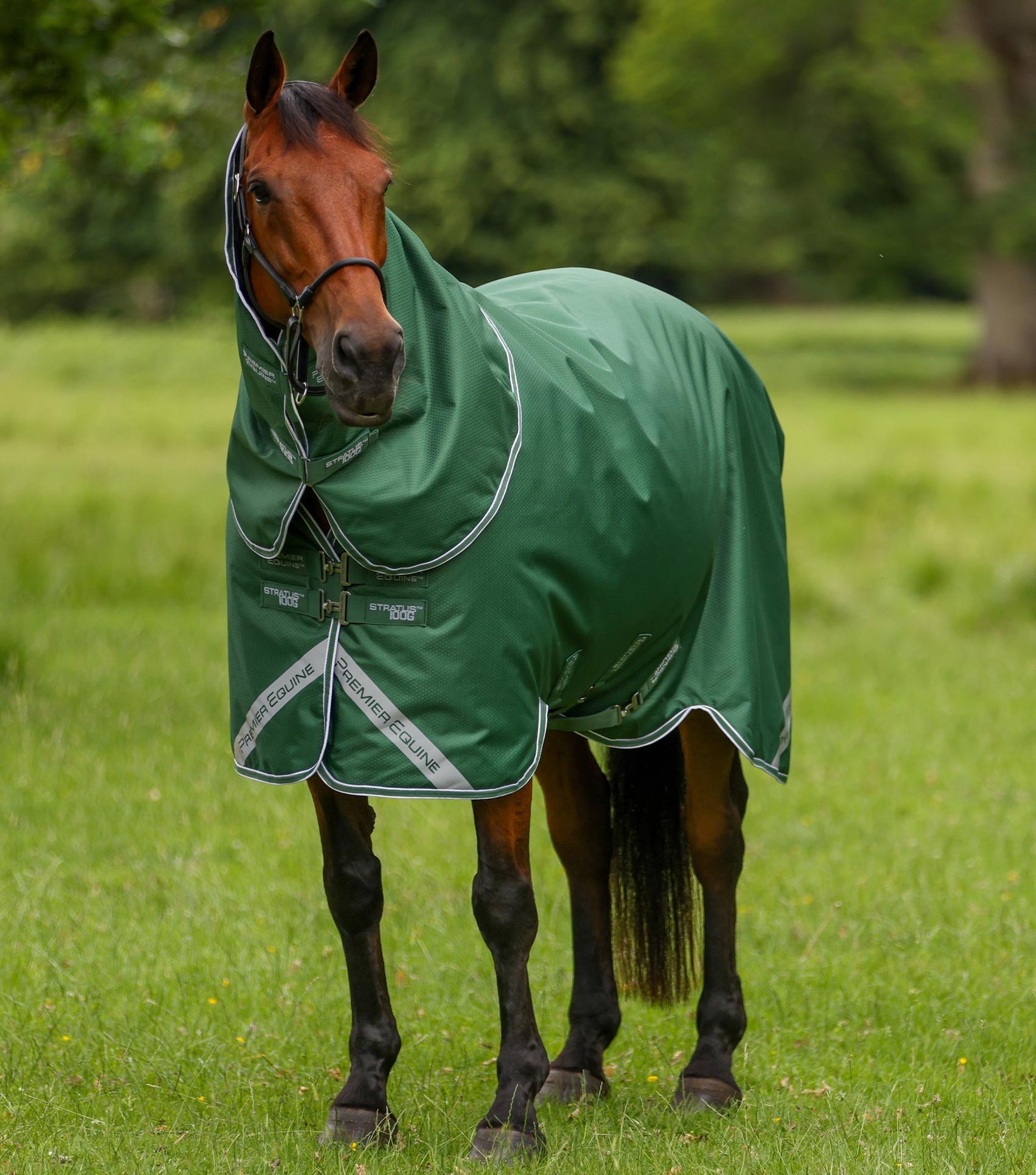 Premier Equine Stratus 600D Series 100g Turnout Rug with Classic Neck Cover