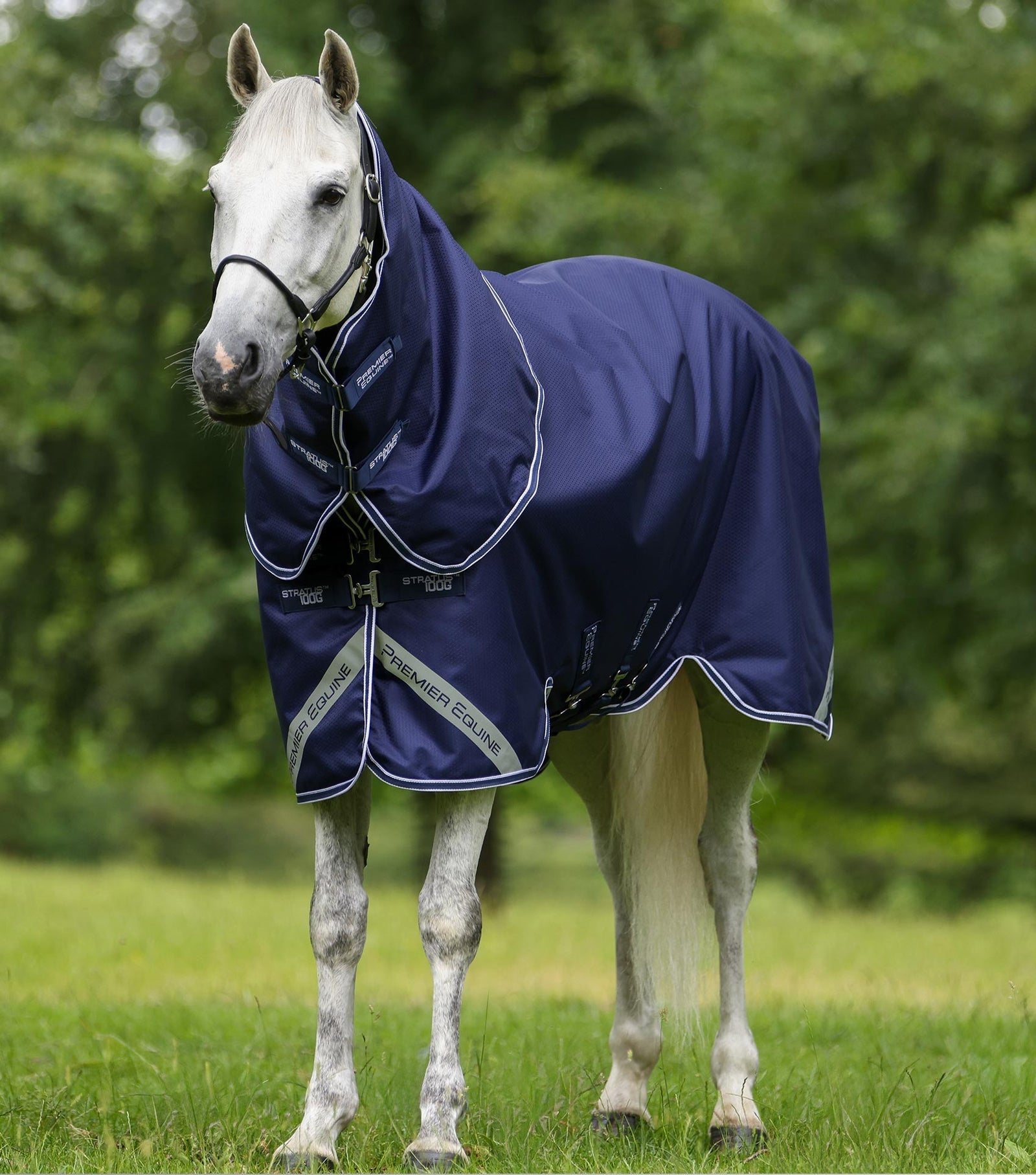 Premier Equine Stratus 600D Series 100g Turnout Rug with Classic Neck Cover