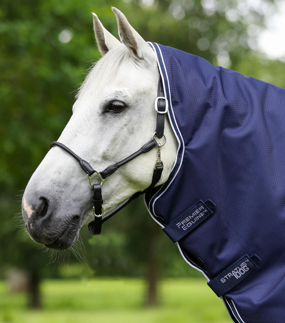 Premier Equine Stratus 600D Series 100g Turnout Rug with Classic Neck Cover
