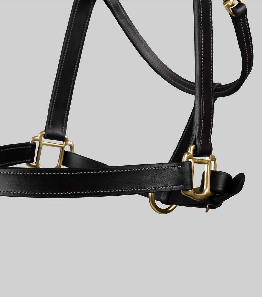Premier Equine Traditional Leather Headcollar