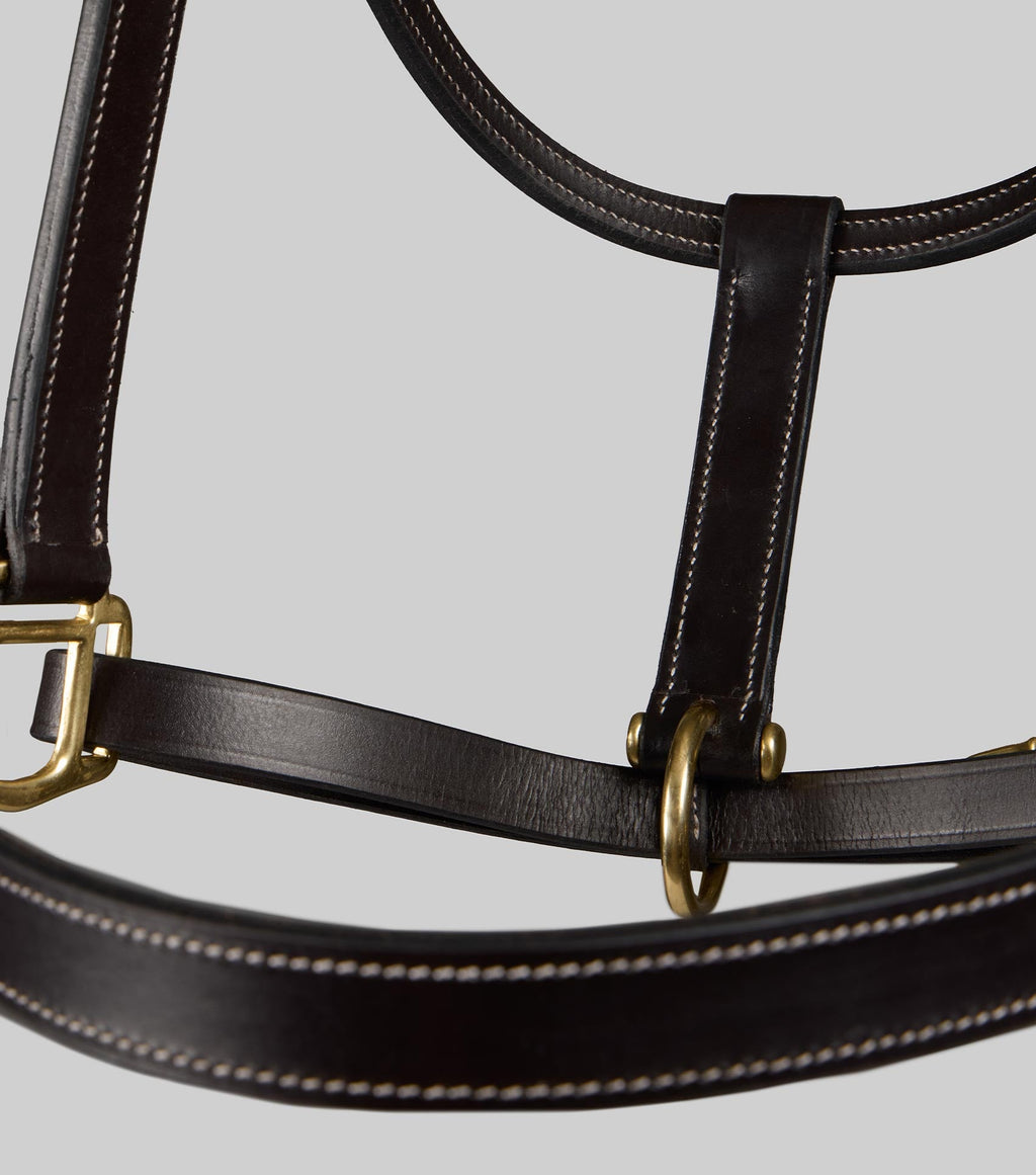 Premier Equine Traditional Leather Headcollar