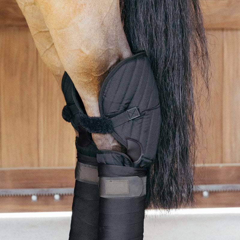 Kentucky Transport and Stable Bandage Pad with Hock Protection