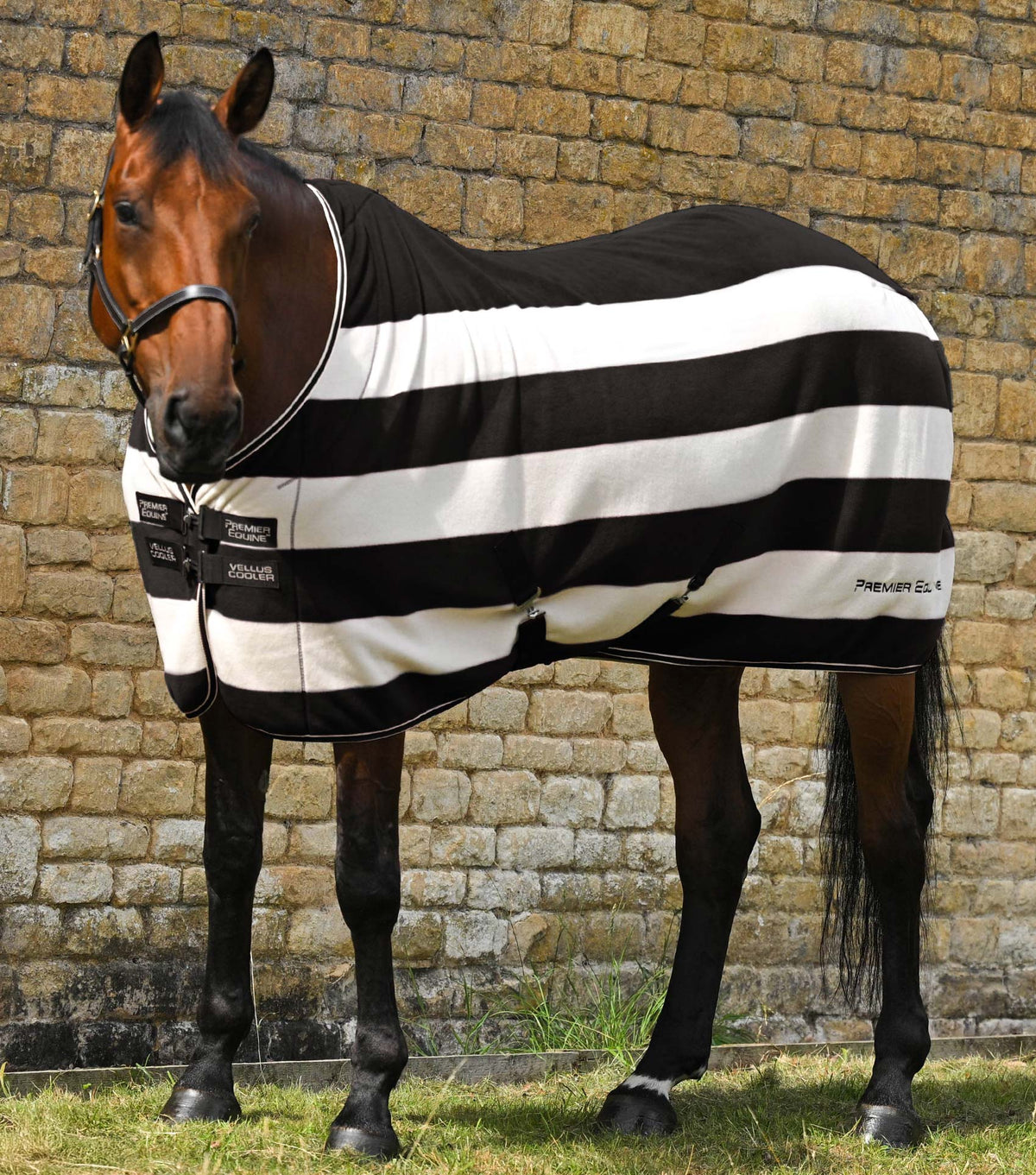 Premier Equine Vellus Horse Fleece Rug