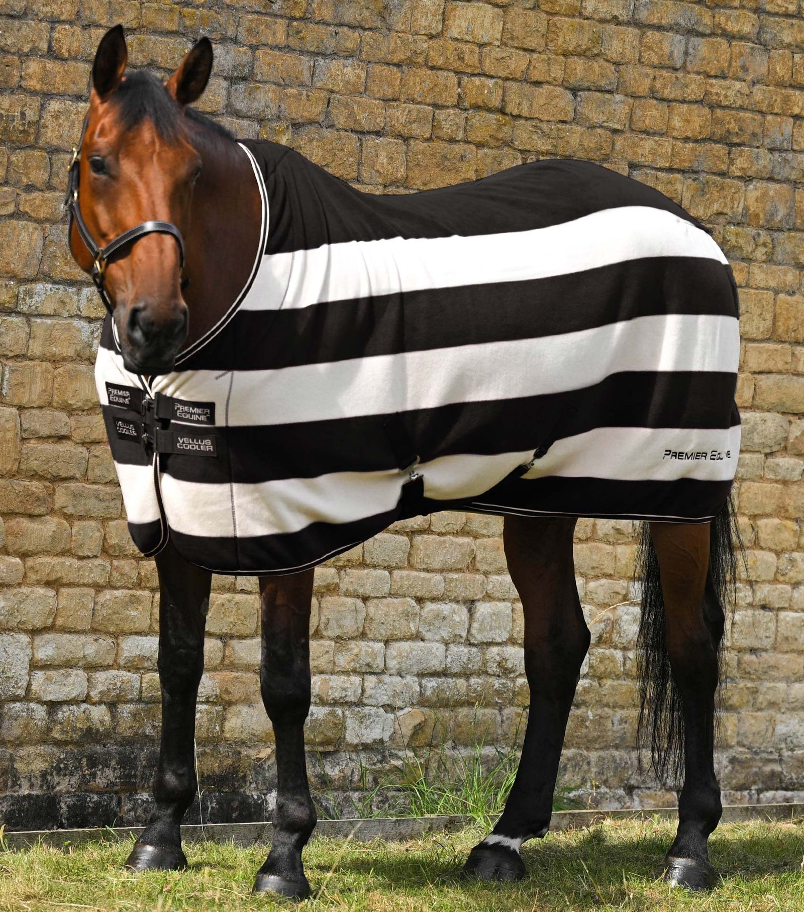 Premier Equine Vellus Horse Fleece Rug