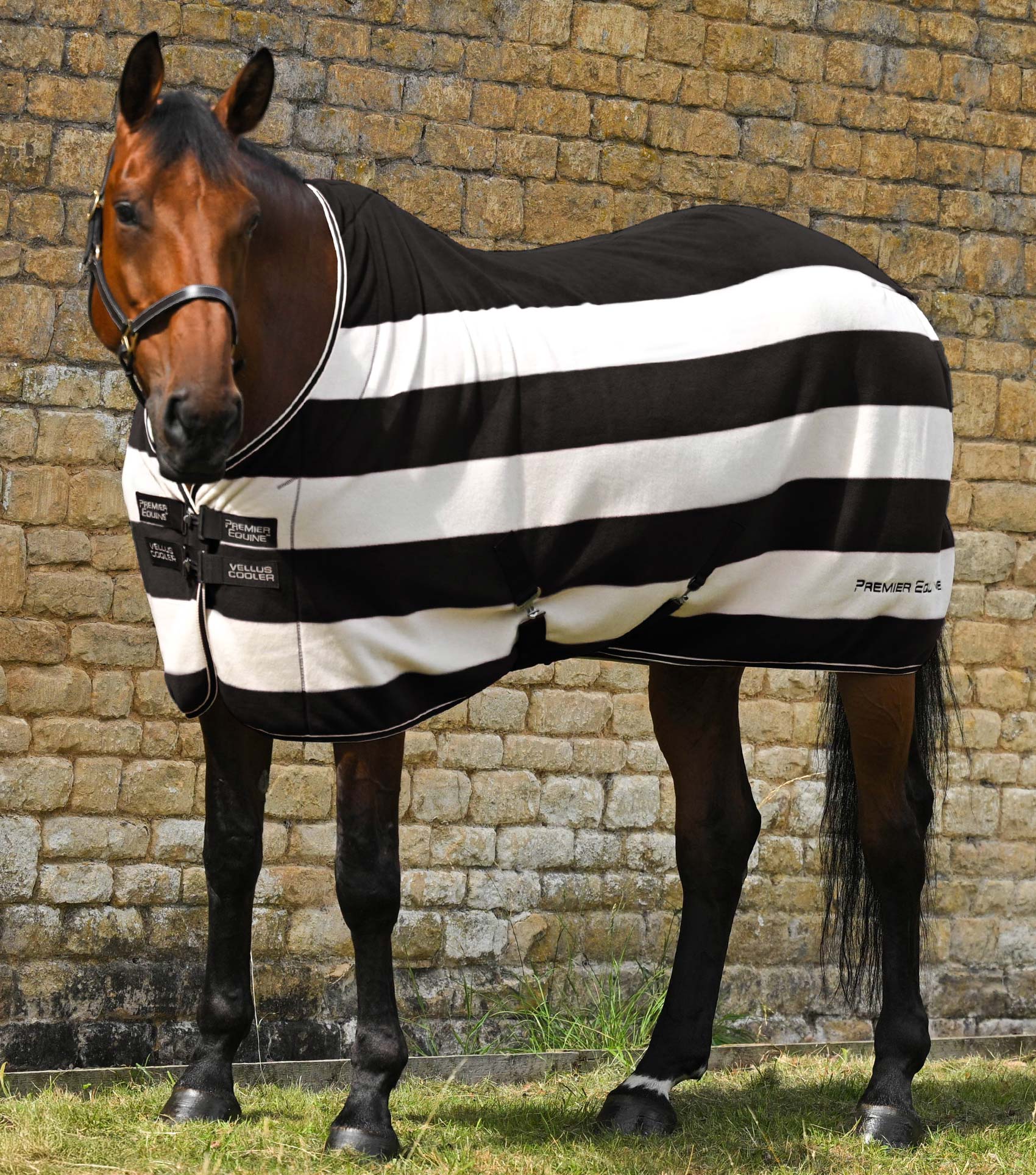 Premier Equine Vellus Horse Fleece Rug