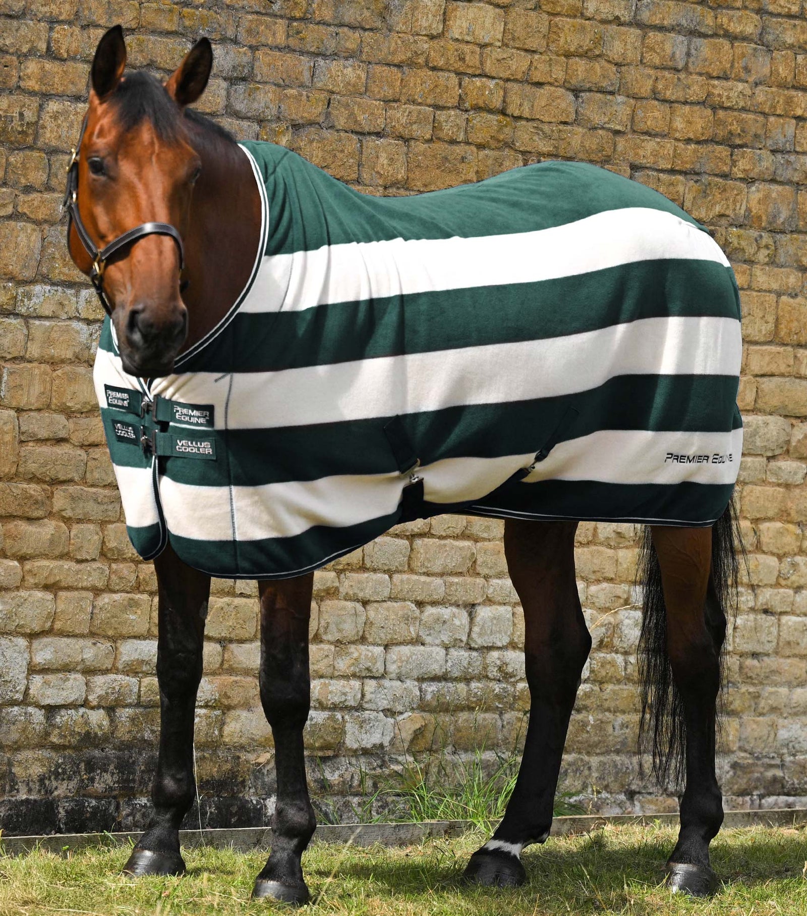 Premier Equine Vellus Horse Fleece Rug