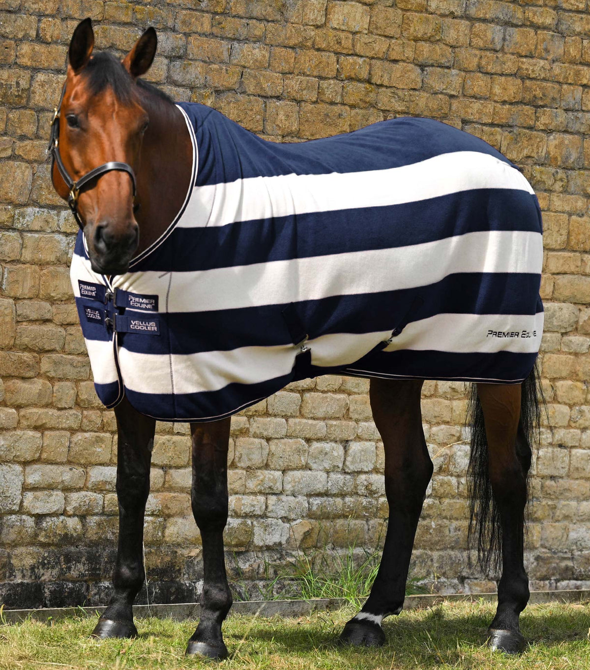 Premier Equine Vellus Horse Fleece Rug