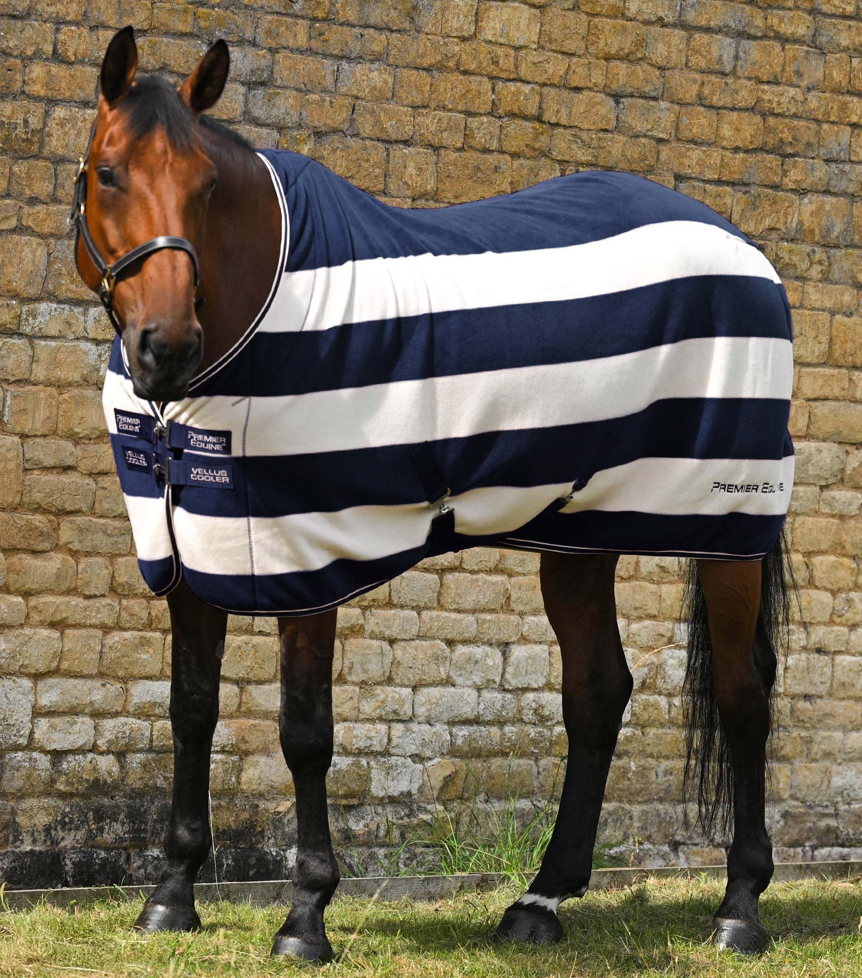 Premier Equine Vellus Horse Fleece Rug