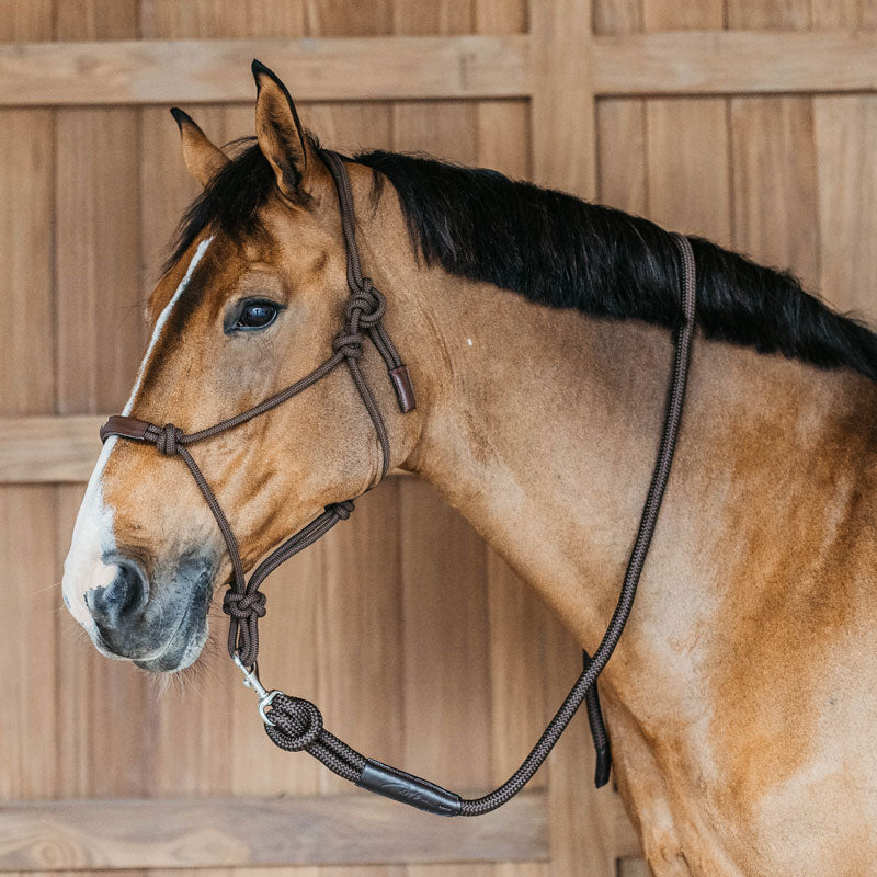 DY'ON Working Lead Rope with Removable Snap