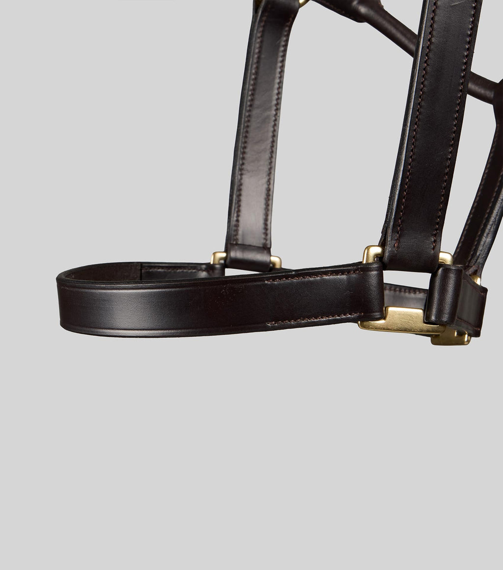 Premier Equine Yearling Headcollar 1" - Dark Havana
