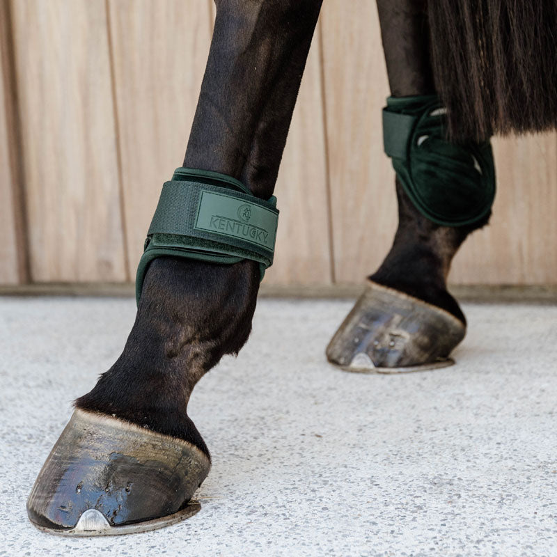 Kentucky Young Horse Fetlock Boots Velvet -Dark Green