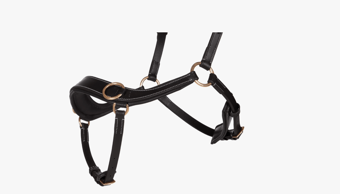 Anatomical Bitless Bridle - Nags Essentials