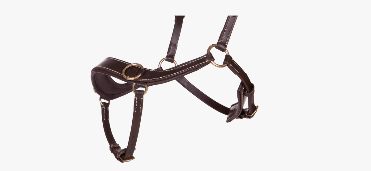 Anatomical Bitless Bridle - Nags Essentials