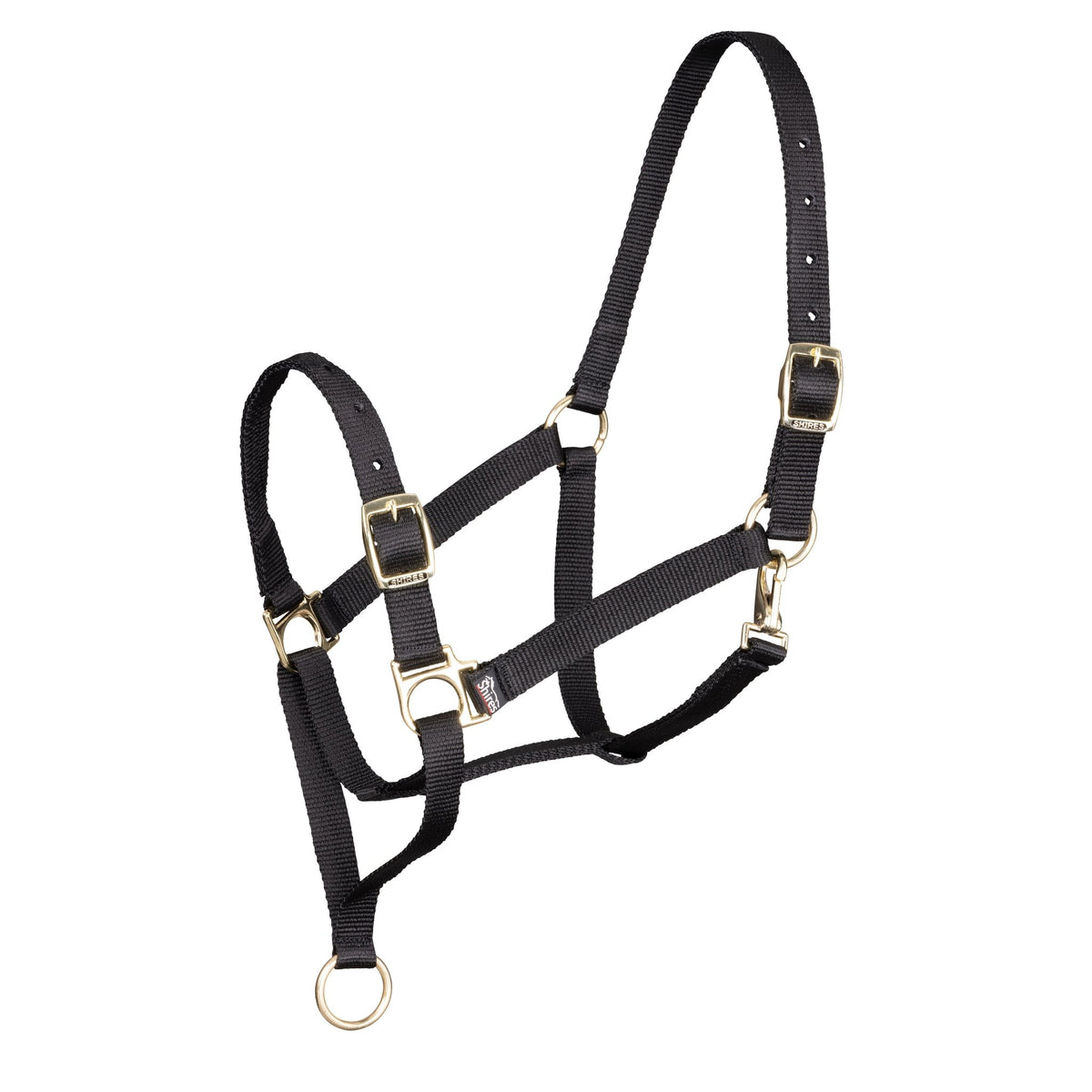 ARMA Control Headcollar - Nags Essentials