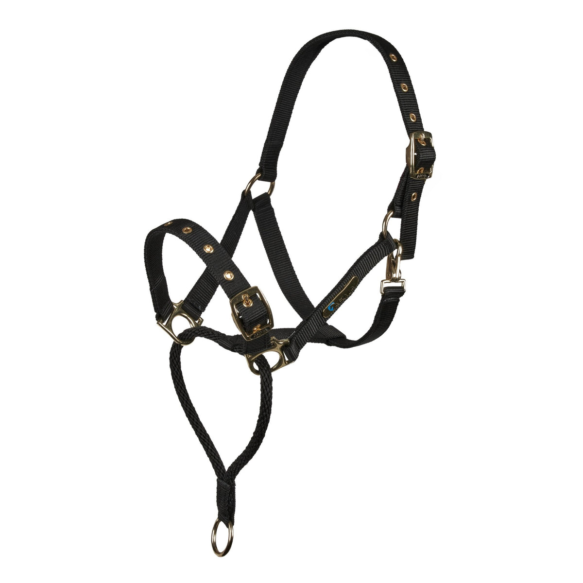 ARMA Control Headcollar - Nags Essentials