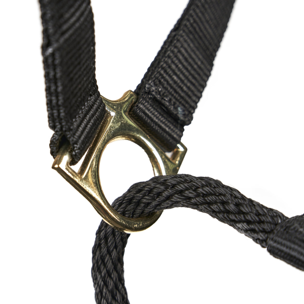 ARMA Control Headcollar - Nags Essentials