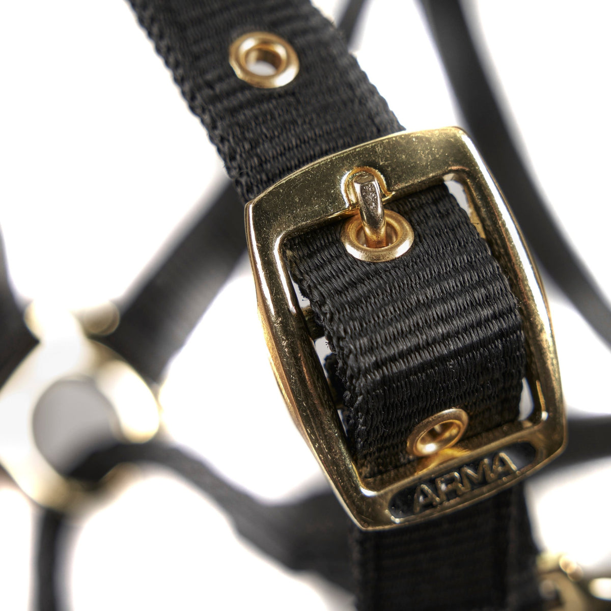 ARMA Control Headcollar - Nags Essentials