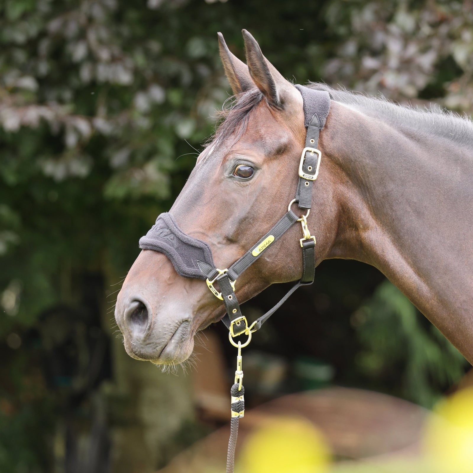 ARMA Fleece Headcollar & Lead Rope - Nags Essentials