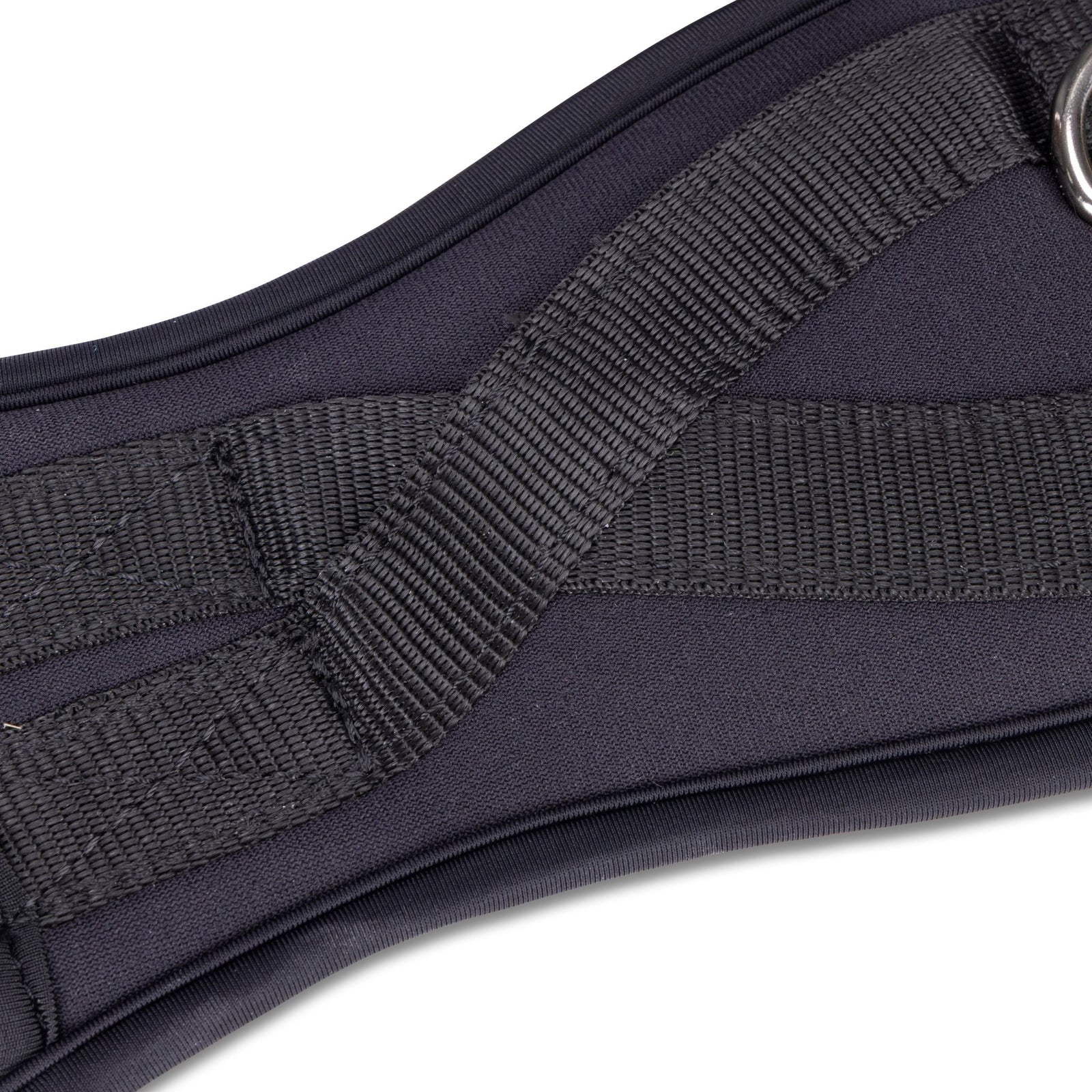 ARMA Memory Foam Dressage Girth - with elastic - Nags Essentials