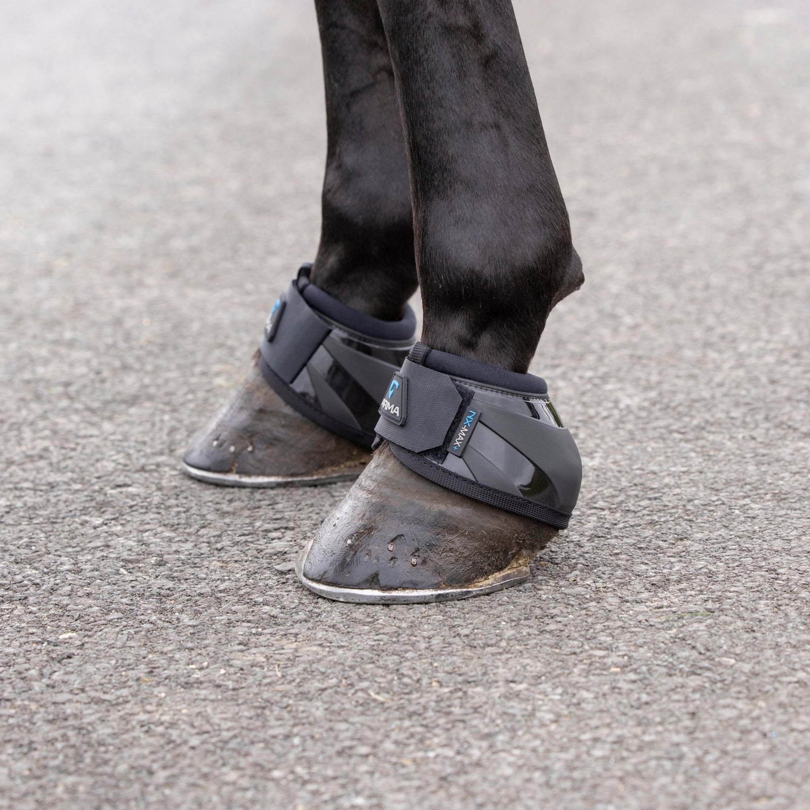 ARMA NX - MAX+ Contour Over Reach Boots - Nags Essentials