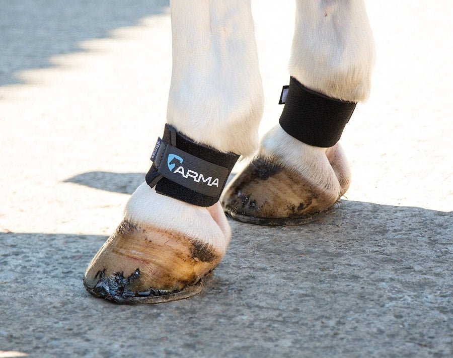 ARMA Pastern Wraps - Nags Essentials